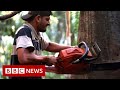 New video by BBC News on YouTube