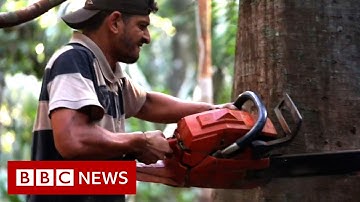 The battle for the Amazon