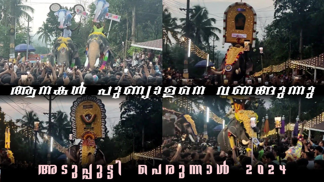 അടുപ്പുട്ടി പെരുന്നാൾ 2024🔥🥵ആനകൾ പുണ്യാളനെ വണങ്ങുന്നു🔥 adupputty perunnal 2024 ||adupputti palli