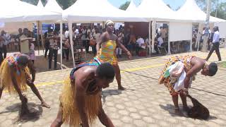 ucc open day
