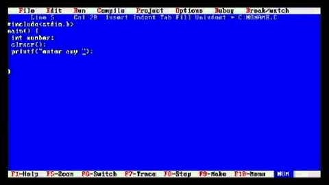 turbo C - input