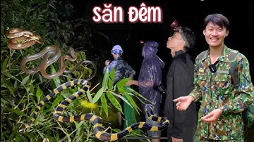 SĂN BẮT RẮN TRONG ĐÊM TỐI TÌM ĐẶC SẢN RỪNG - Bùi Văn Trọng
