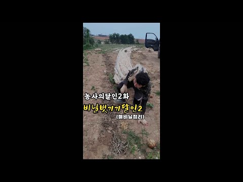 농사의달인2화 비닐벗기기달인2