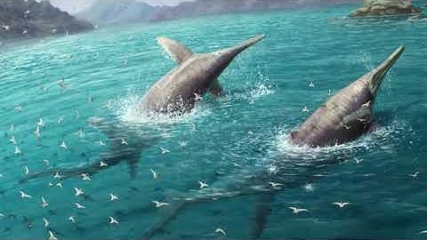 Fossil found on British beach likely largest known marine reptile | REUTERS