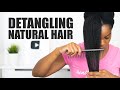 PREVENT HAIR BREAKAGE When DETANGLING Your NATURAL HAIR | 6 SIMPLE STEPS!