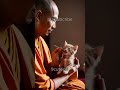 kungfu cat #9cutecat #cat #funny #kitten #cute #shorts #funnycats #story #cutecat