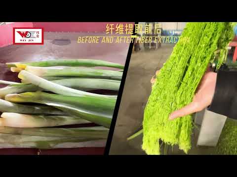 Starting Simple with Pineapple Leaf Fiber Extraction I think These Two Machines Are Your Go To