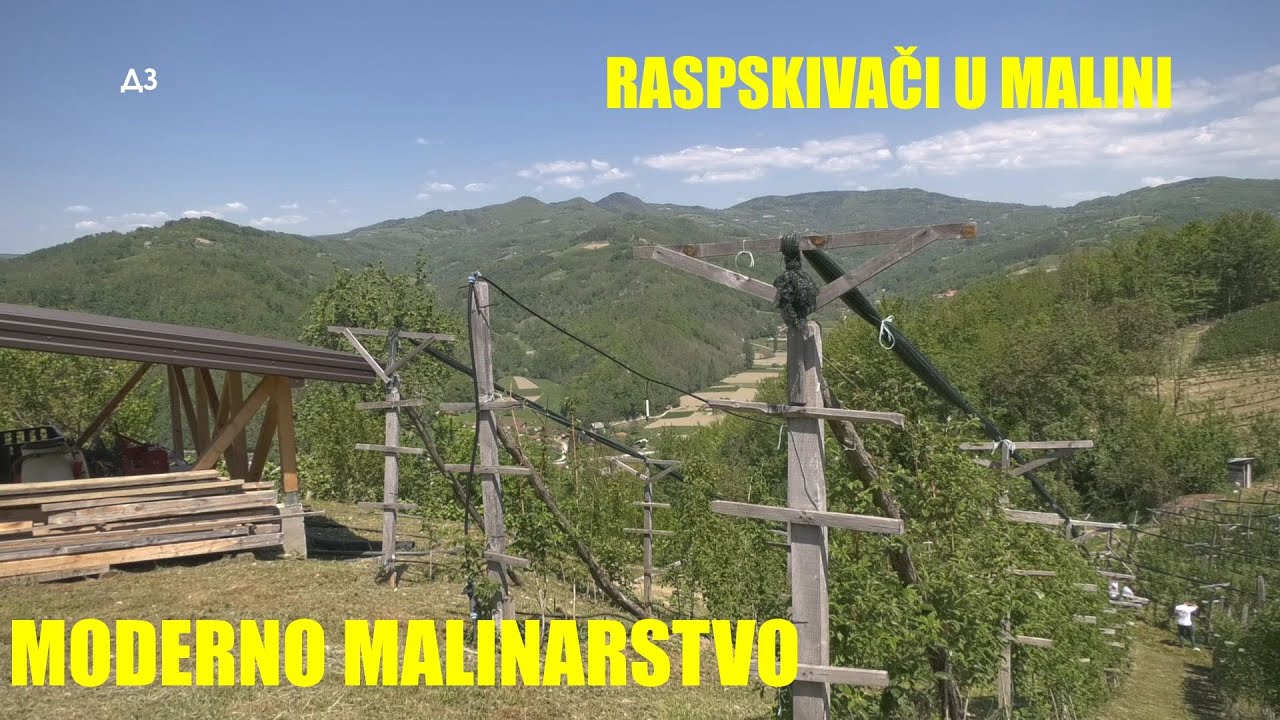MALINA - RASPSKIVAČI - čemu služe  - hladjenje maline - zaustavljanje cvetanja - KOJA SORTA  ??