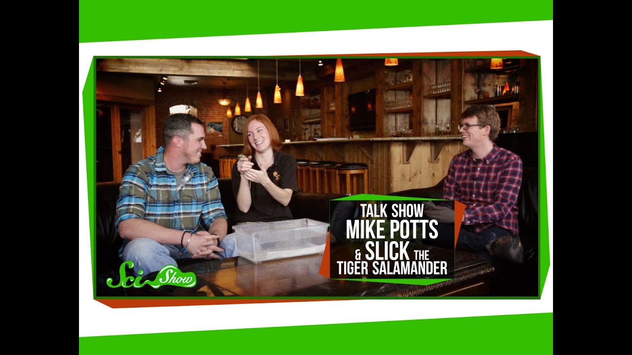 SciShow Talk Show: Environmental Engineer Mike Potts & Slick the Tiger Salamander