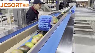 Celebrity JC SORT Mango Washing & Weight Grading Machine Net Worth