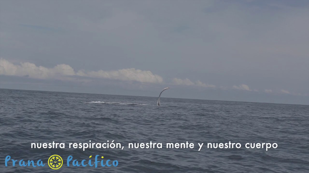 Strength in Mindfulness SUP Yoga Retreat