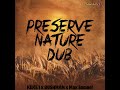 Keke I Ft Bushman Max Samuel Preserve Nature Dub Version Datsmusic Productions Nov 2025 mp3