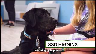 Facility Dogs: SSD Higgins and SSD Maya