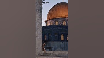 تلاوة هادئة 🦋🩷 #القرآن_الكريم #فلسطين_قضيتنا #تلاوة_هادئة #القدس #فلسطين #فلسطين_حرة #قرآن #غزة 🤍🌱