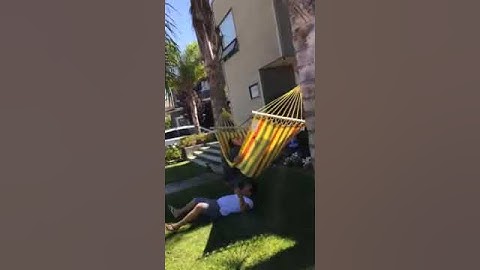 Hammock swings