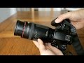 Canon EF 100-300mm f/5.6 'L' - the first EF 'L' lens  - review (Full-frame and APS-C)
