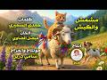 Dorbez Art 2026 اخراج سامي دربز مشمش وكبش العيد كلمات حمدي السميري ألحان فيصل الضاوي 
