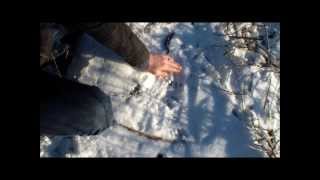 Using Snow To Re-hydrate Safely