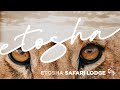 Etosha Safari Lodge 
