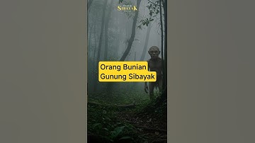 Benarkan ada orang Bunian di Gunung Sibayak? #misteri #sahabatgunung