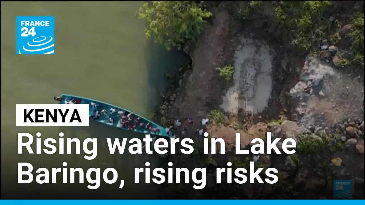 Crocodiles attacks increase in Kenya • FRANCE 24 English