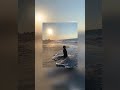 Dog enjoying sunset beach 🏖️ #shorts #dogs #pets #viralvideos #trending #funnymemes #funnyshorts