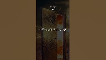 سورة غافر 🤍🌿القارئ ماهر المعيقلي 🤍🌿