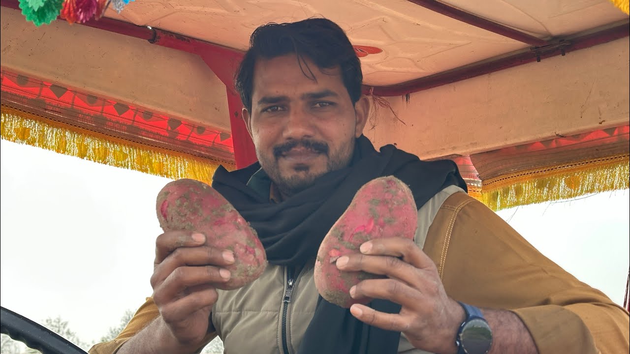 Aalo Ki Record Paidawar | 160 Bags Fee Acre | Farmer Success Story