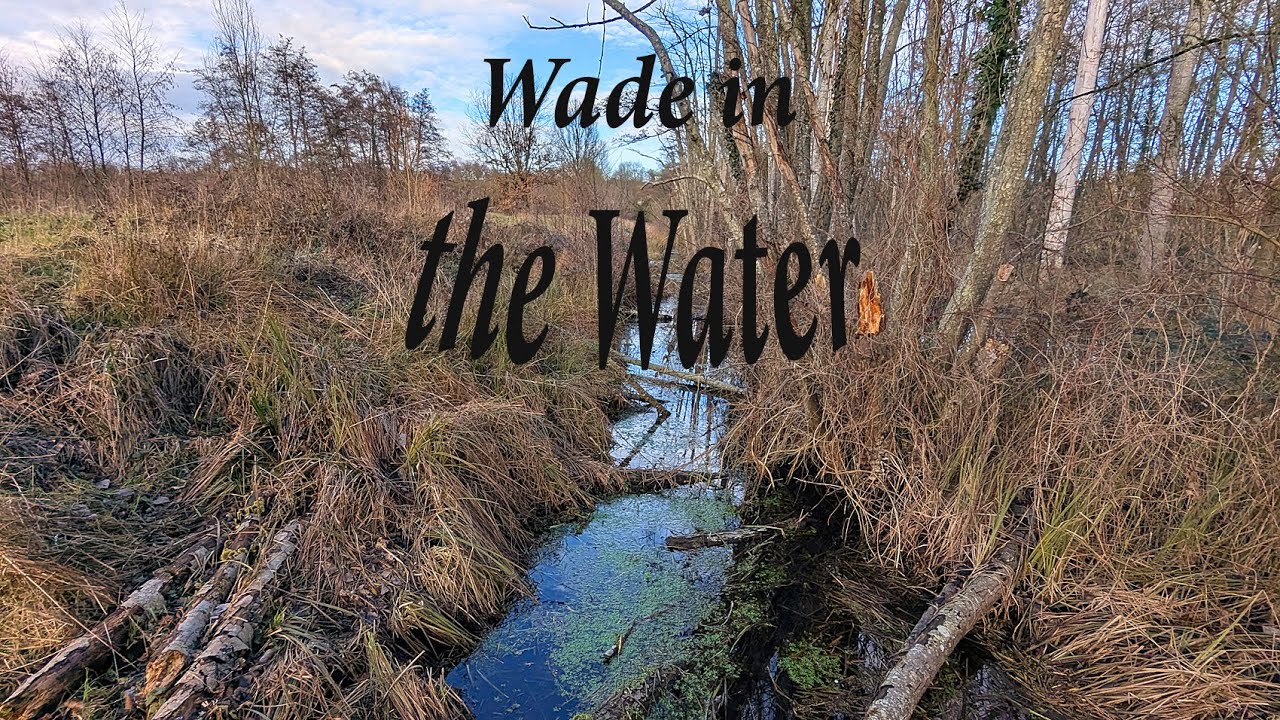 WADE IN THE WATER I & II