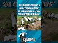 Las energías verdes no contaminan | Mito vs realidad  #ingenieria