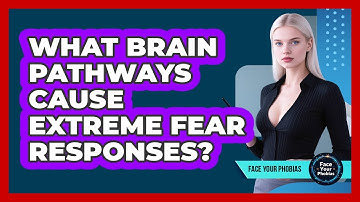 What Brain Pathways Cause Extreme Fear Responses? - Face Your Phobias