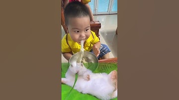 Xoài ăn mỳ hệt như em thỏ ăn cỏ. #trending #funny #trend #cute #baby #xoaiduc #shortvideo #shorts