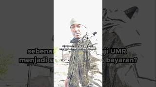 Download Lagu Ternyata ini Gaji UMR Tentara Bayaran #tni #military #viralvideo MP3