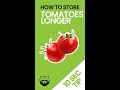 Keep Tomatoes Fresh Longer