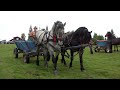 Caii baietilor de la Calatele Padure, Cluj - 2020 Partea II