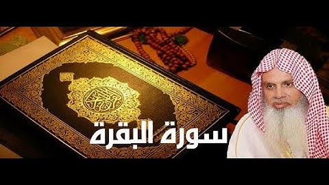 سورة البقرة الصفحة 10 بصوت الشيخ عبد الرحمن الحذيفي