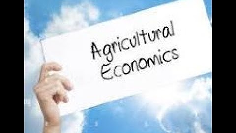 Econometrics Exit Exam  Question