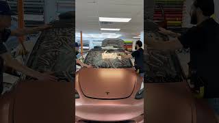 How to protect your windshield from cracking!
