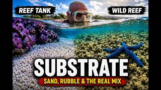 I Compared Reef Tank Substrates to Nature....Here's What I Found