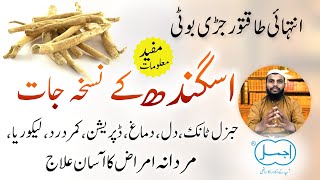 Asgandh ke fayde | Ashwagandha Powder Benefits for Men, Females, General Weakness, Stress and Heart