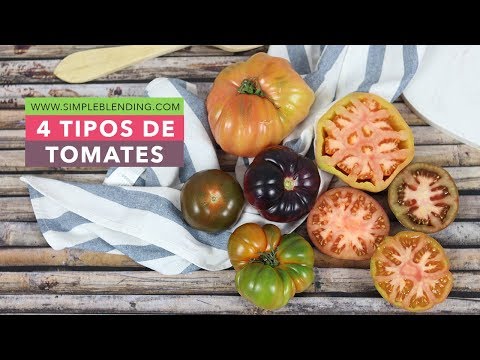 Video: Variedades De Tomate Con Un Color Inusual: Manzana, Tigre, Terciopelo