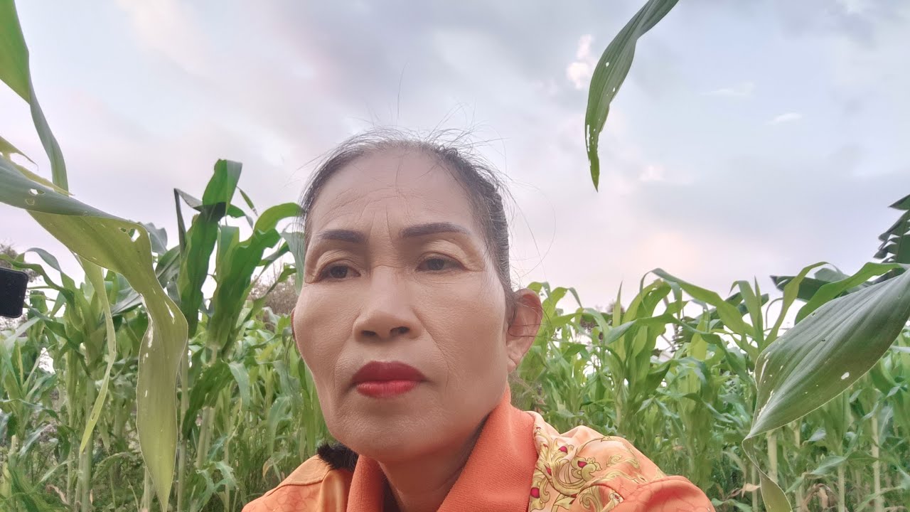 สด   เข้าสวนยามเช้า