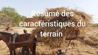 Présentation Du Site De Toubab Dialaw