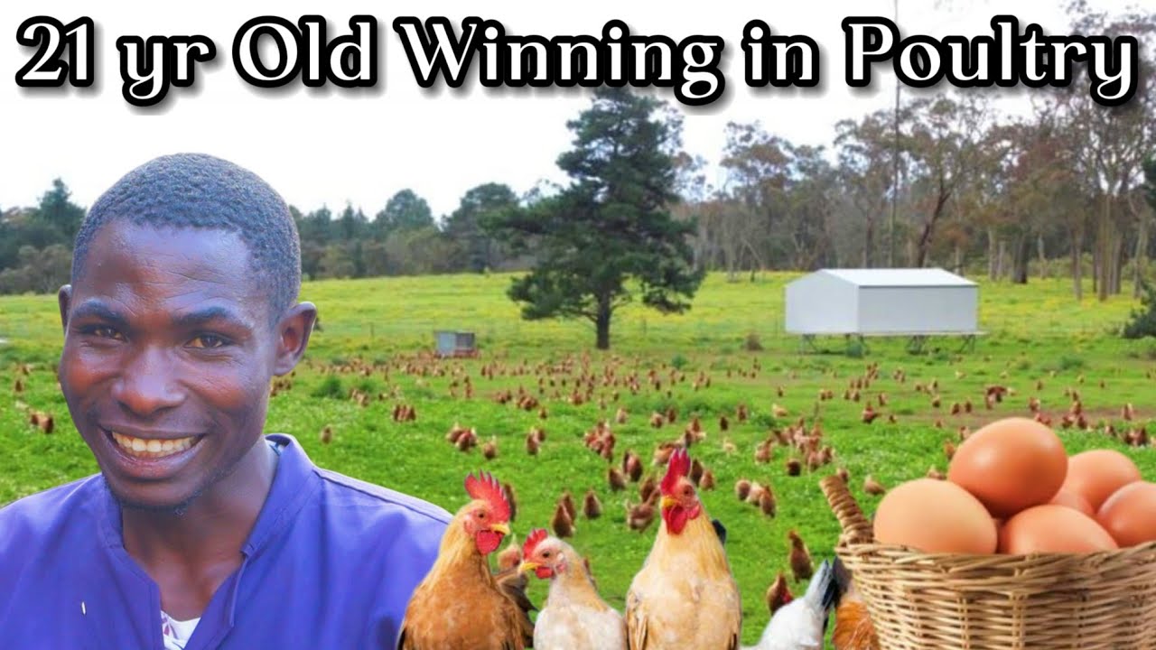Meet a 21 year old with an inspiring Poultry Project after Dropping out of School in Class 8.