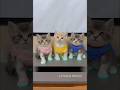 Cute during the day… nightmare fuel at night 💀🐱 #cat #shorts #foryou