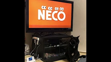 NECO目線 やんこちゃん Short 