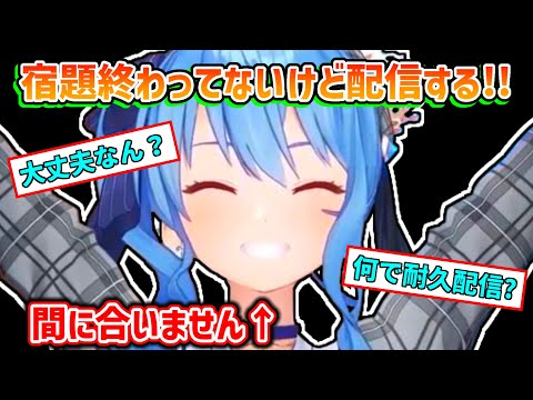 【星街すいせい】結局、宿題を間に合わせることが出来なかったすいせい【ホロライブ切り抜き】