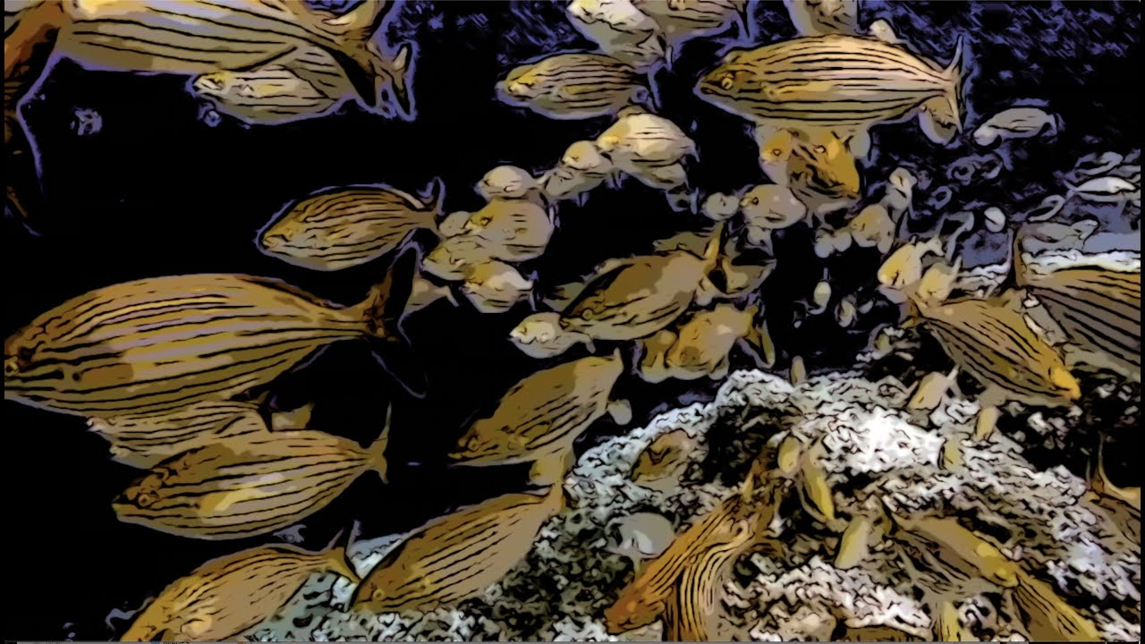 Ein Licht Reicht Nicht - an upside down tree