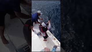 Download Lagu #fishing #ocean #travel #pesca #fish #panama MP3