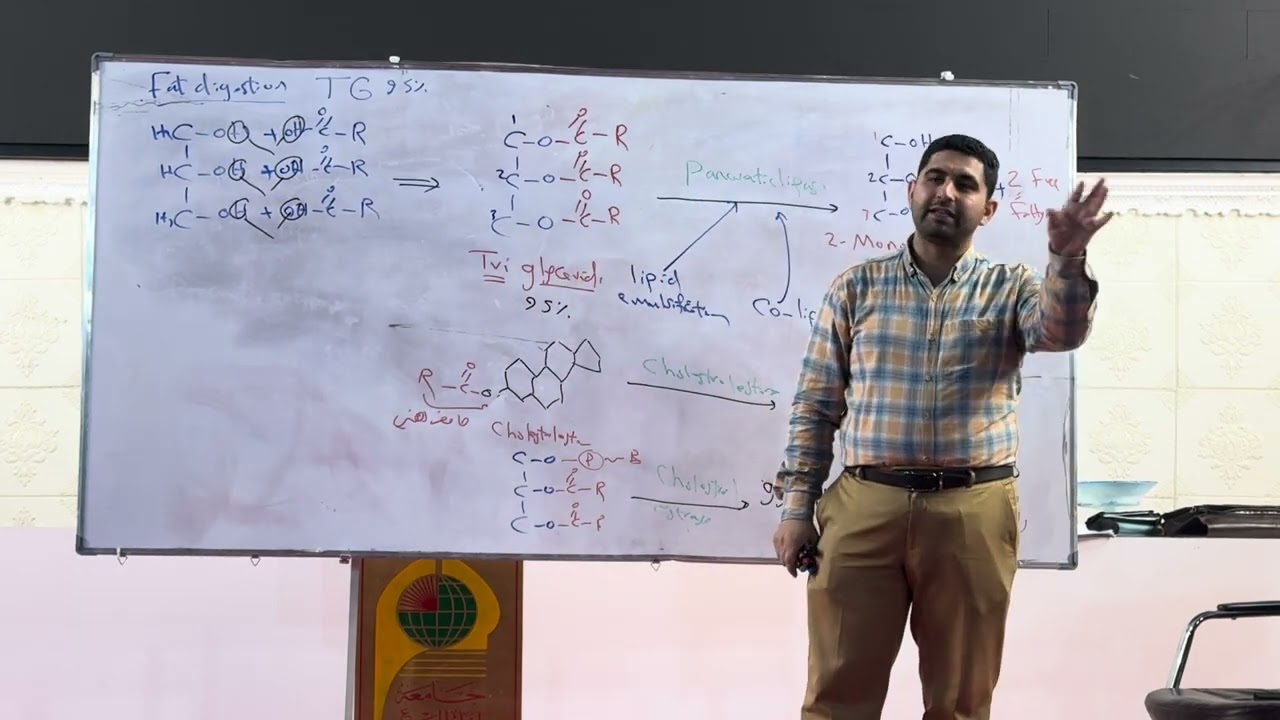 م19 / جزء5/ شرح جابتر 26 فسلجة كورس ثاني صيدلة (دكتور منتظر زميزم)